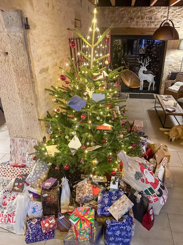 Le sapin de Noël et ses cadeaux, dans la salle aux murs de pierre