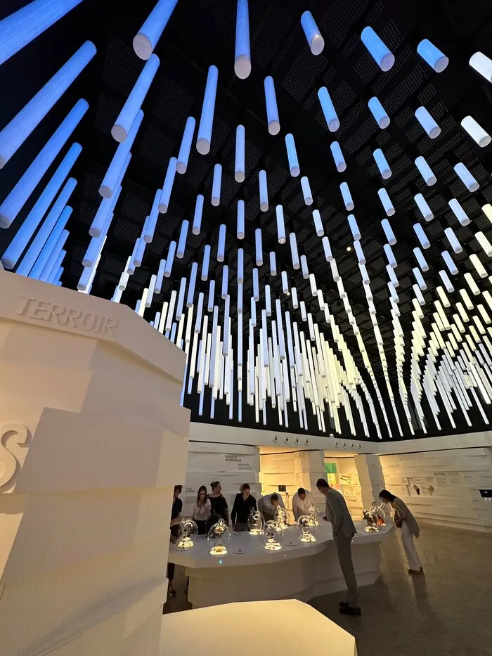 Une salle d’exposition consacrée aux vins de Bourgogne, à Mâcon