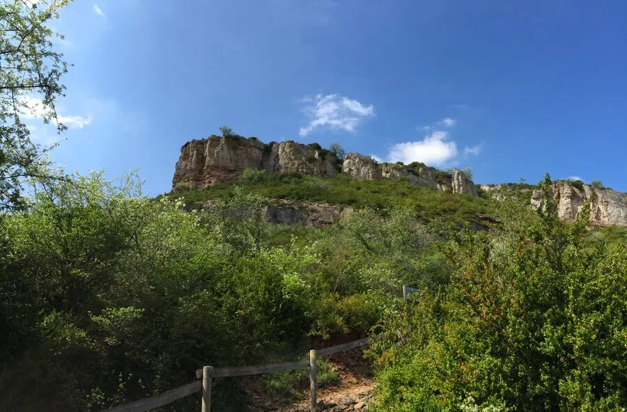 La Roche de Solutré, sa falaise dominant la végétation